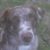 Jamie Rosebrock's profile image
