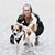 Melanie Stucki's profile image