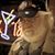 Albert Gray's profile image