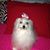 Linda Martins's profile image