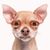 Danny Kord's profile image