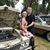 Flicka Accardo's profile image