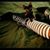 Bobbi M. Gostomski's profile image