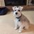 Linda Raines's profile image