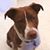 Debra Marquard Blaschko's profile image