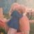 Jen Lyczak's profile image