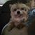 Christine Verdin's profile image