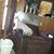 Carol Waites's profile image