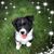 Missy Risko-Anderson's profile image