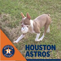 Kristy Tronson's profile image