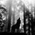 Steven Fousek's profile image