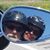 Brad N Jo Thompson's profile image