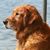 Jim Bonnie Reeder's profile image