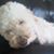 Pat Merrell Robertson's profile image