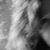 Sharon L. Stacy's profile image