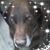 Kami Dybdahl's profile image