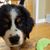 Matthew J. Ropert's profile image