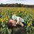 Hannah Forbush's profile image