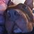 Dawn Elaine Altimus's profile image