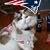 Denise L. Grande's profile image