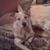 Nena Guthrie's profile image