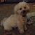 Margie A Deturk's profile image
