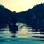 Gordon Macrae's profile image