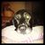 Deb Deneau Fleming's profile image