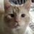 Jeanine Friederich's profile image