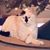 Kellie Dye's profile image