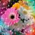 Debbie Stamm Porter's profile image