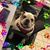 Denise Teseo's profile image