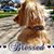 Nancy Koppal Martin's profile image