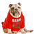 Big Dawg Signs & Banners's profile image