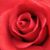 Kathy Evans Silverstein's profile image