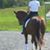 Alida Davis's profile image