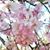 Jennifer Borens's profile image