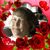 Joan Chrisman's profile image
