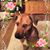 Marilyn Anderson's profile image