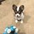 Rose Nancy Ruggiero Funkhouser's profile image