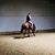 Bobbie Jo Halvey's profile image