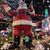 Jessie Ladino's profile image