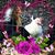 Tina Gleason's profile image