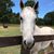 Mary Alderman Newton's profile image