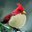 Bjarke K's profile image