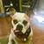 Kevin Kennedy Gipson's profile image