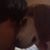 Andre Bruckschen's profile image