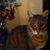 Wanda Radowski's profile image