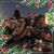 Cindy Orban Caldanaro's profile image