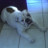 missy's profile image